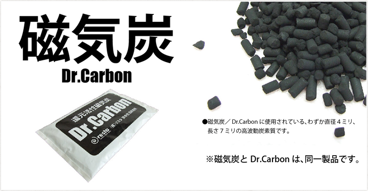 磁気炭