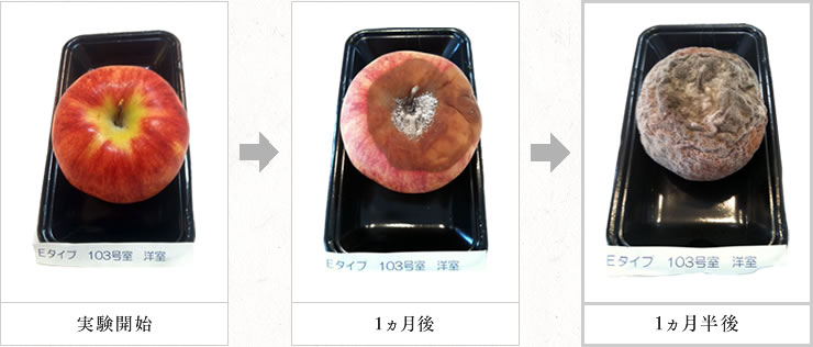 普通の洋室に置いたリンゴの実験